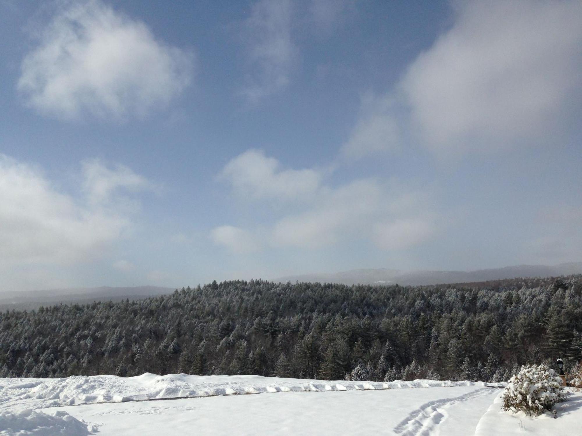 Adams Hill House Retreat - Artist-Architect'S Estate, Newfane Vermont Exterior foto